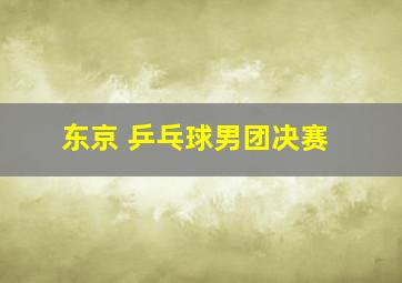 东京 乒乓球男团决赛